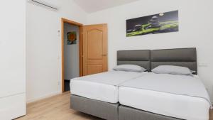 Beautiful Villa Miki with pool in Makarska