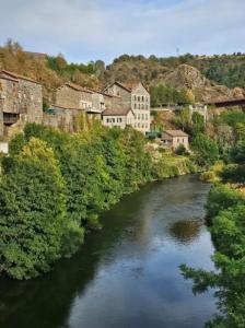 Appartement convivial à Monistrol-dAllier de 32 m²