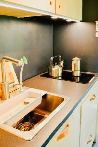 Tiny House By The Lake And An Artist Collective