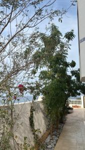 Qantab village room