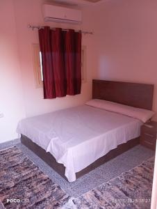 oasis resort ,areada HRG