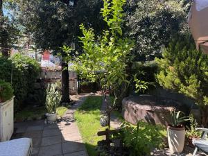 Mare, Roma e Aeroporto - Tutto a portata di mano