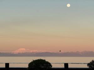 El Reflejo Lodge Spa - Queilen - Chiloé