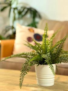 ANSA Beach Apartments - Jinetes Suite