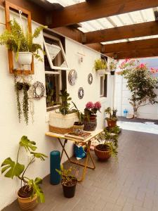 Zagorski’s Bed and breakfast