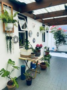 Zagorski’s Bed and breakfast