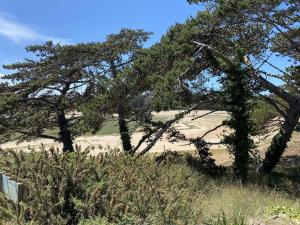 109 - Appartement T3 lumineux à quelques mètres de la plage de Sables-Dor-Les-Pins.