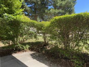 109 - Appartement T3 lumineux à quelques mètres de la plage de Sables-Dor-Les-Pins.