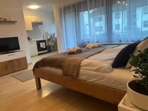 P51 Apartment