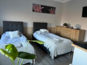 Apartament Adabet
