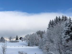 Casa del Cirmolo - apartments for rent