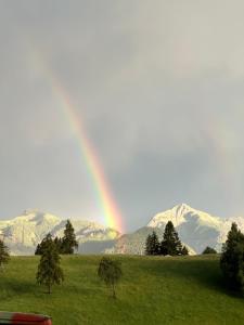 Casa del Cirmolo - apartments for rent