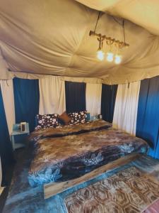 back 2 bachpan adventure camps