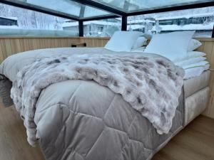 Levi Lapland Luxury Igloos B