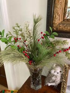 The Red House Fredericton