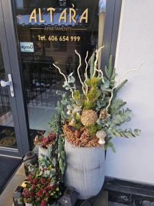 Altara Apartamenty Centrum - Free Parking