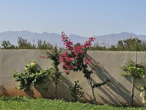 Villa à Berkane avec piscine, sans vis-à-vis