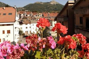 Blue Eyes Centre Free Parking