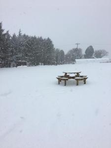 The Annexe at the Cedars