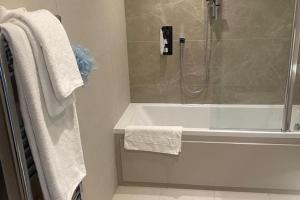 Cosy London Apartment near River Thames