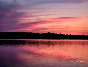 Modern Couples Retreat , Lakefront, Private Dock