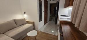 Vilotic group - Studio 1