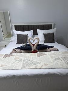 Alex Panoramic seaview