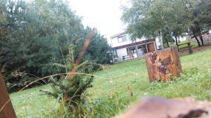 Agroturystyka Sominy Piotr