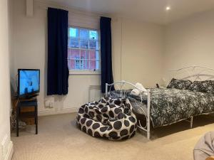 Stylish 1-Bed Flat in Trendy Montpelier, Bristol