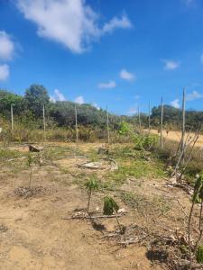 Moenda Luz Casa de Descanso & Terapias