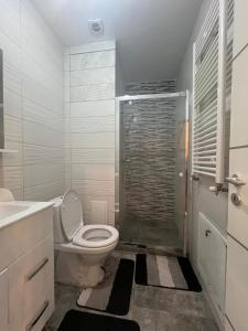 Studio near the Metropolitan Church