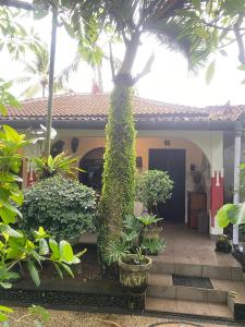 Catra homestay beach apartments