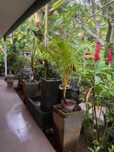 Catra homestay beach apartments