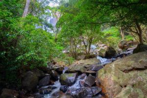 Ella Waterfall View Cabana By Ella Jungle Rock Hotel