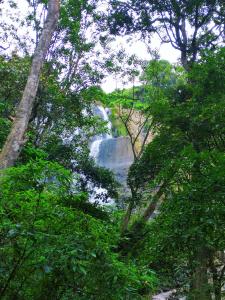 Ella Waterfall View Cabana By Ella Jungle Rock Hotel