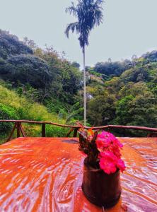 Ella Waterfall View Cabana By Ella Jungle Rock Hotel