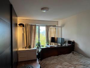 Apartment in Zurich on Golden Kuste