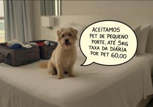 Hotel Rosa da Ilha Guaruja - 80m do mar, 02 piscinas, sala de jogos, brinquedão de percurso para crianças