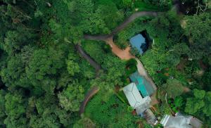 Bracknell Forest Munnar