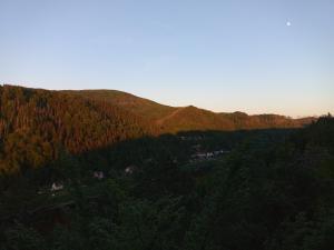 Ferienwohnung Kuhstall