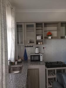 Studio BNB Meru town CBD