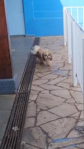 Recanto BebedouroNaBrasa