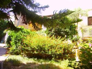 L'Antica Cantina img13