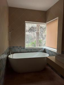 Roomy renovated Apartments in Phuket