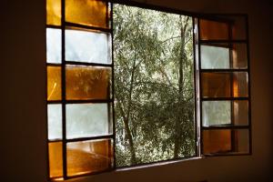 Casa XI - Isla del Delta