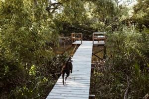 Casa XI - Isla del Delta