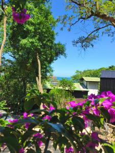 Chalé Tucano, Vista Praia da Solidão em meio a mata atlântica, Florianopolis