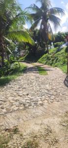 Lowes Camping Ground & Retreat