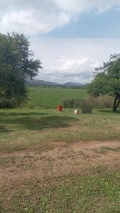 Nthsengedzeni resort harties