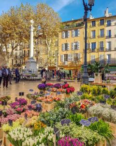 Le BreizhAix - Joli duplex au cœur du centre ville dAix-en-Provence avec jardin